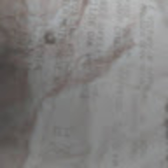 Meet your Posher, Alfred - Picture 1 of 1